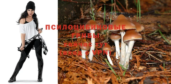 экстази Алзамай