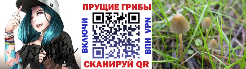 Галлюциногенные грибы мицелий  Красноуральск 